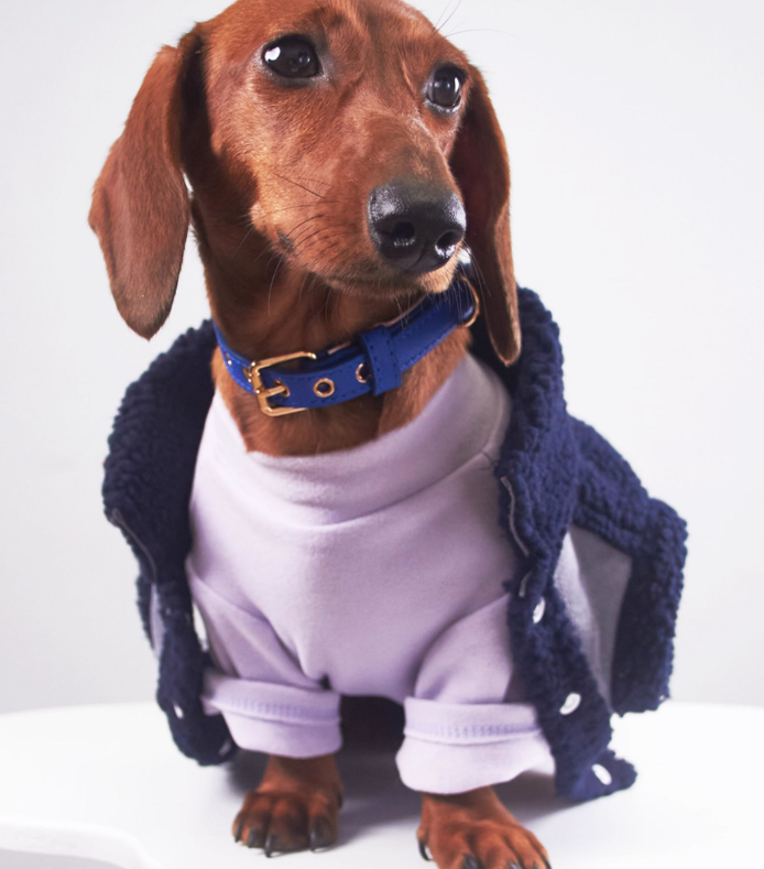 Pet Cat Clothes Winter Puppy Clothes