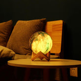 3D Printing Lunar Light Painting Creative Gift Night Light TRENDFLOW