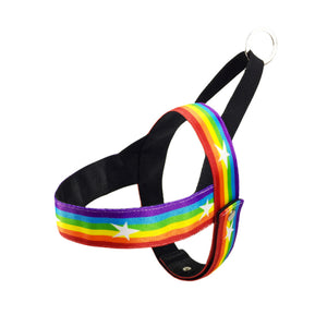 Chest strap S