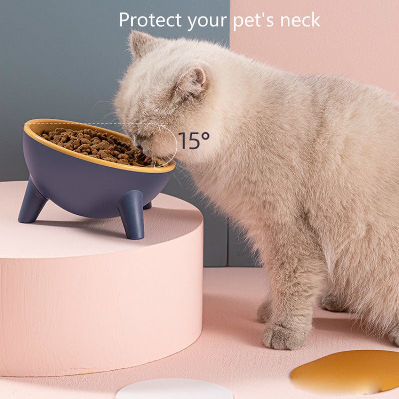 Cat Dog Bowl With Stand Pet Feeding Food Bowls Dogs Bunny Rabbit Nordic Color Feeder Product Supplies Pet Accessories TRENDFLOW