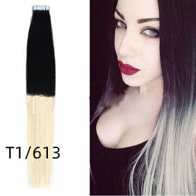 T1613