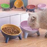 Cat Dog Bowl With Stand Pet Feeding Food Bowls Dogs Bunny Rabbit Nordic Color Feeder Product Supplies Pet Accessories TRENDFLOW