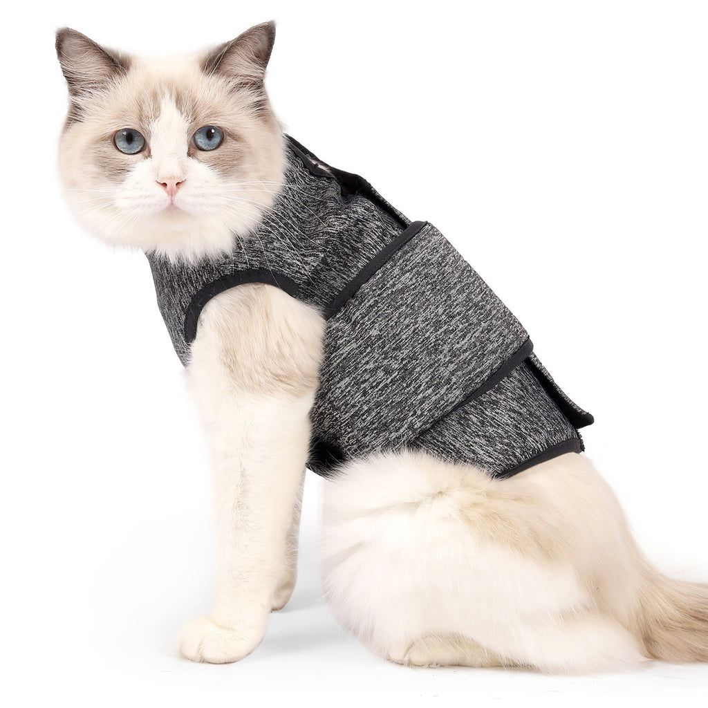 Popular Pet Clothes Cat Clothes Spring