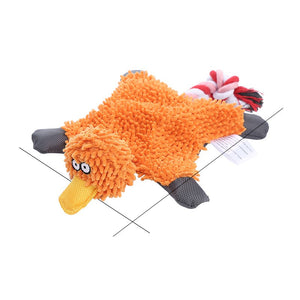 Orange duck