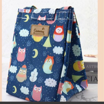 Portable Insulated Lunch Bag For WorkStudent Bento Box