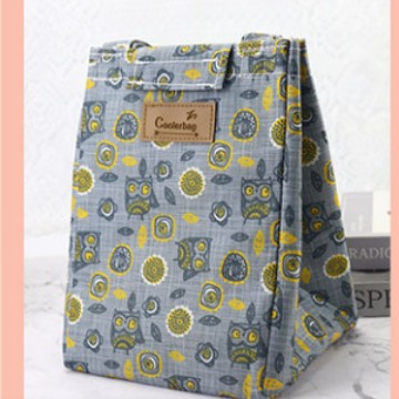 Portable Insulated Lunch Bag For WorkStudent Bento Box