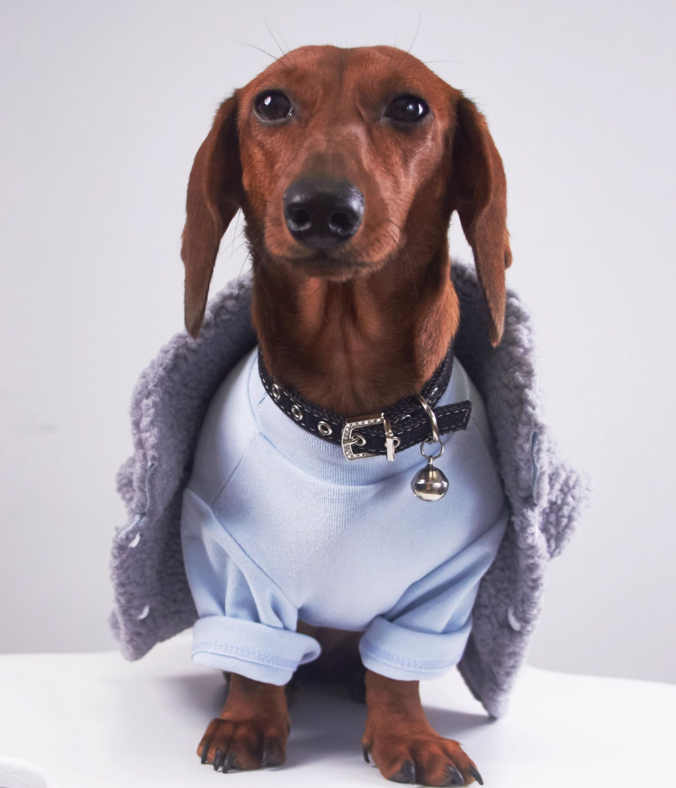 Pet Cat Clothes Winter Puppy Clothes