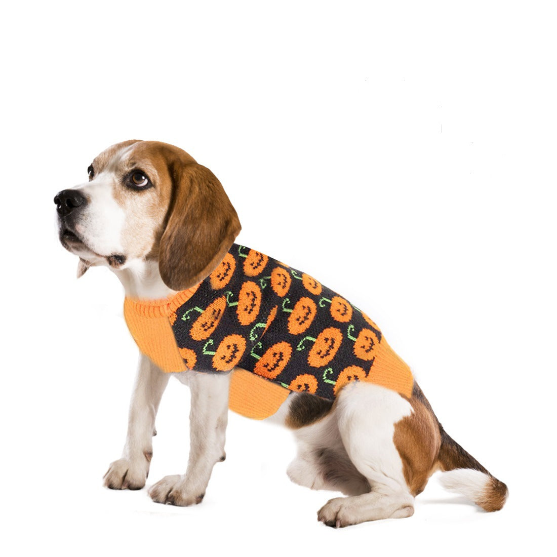 Sweater Pet Autumnwinter Clothes Dog Clothes